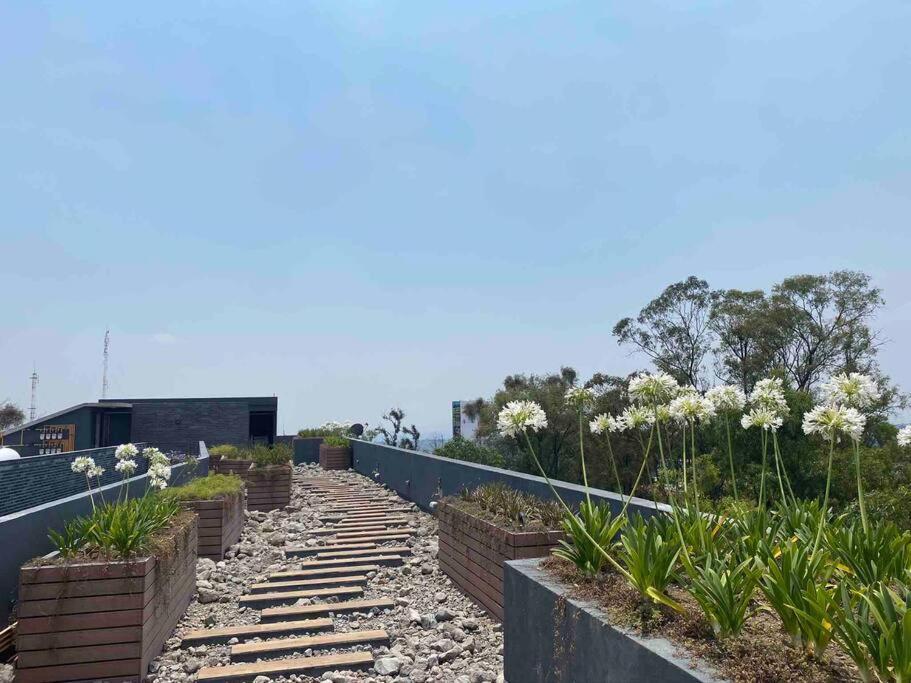 Gran Ubicacion, En La Zona De Santa Fe, King Bed Villa Mexico City Exteriör bild